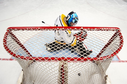 National Hockey League and SAP realize ice hockey sustainability platform
